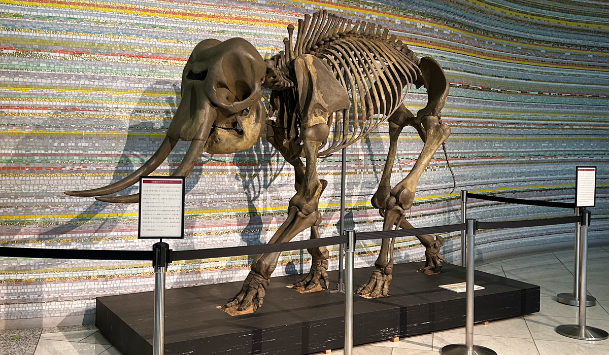 千葉 子供イベントマップ｜週末イベントを地図で検索